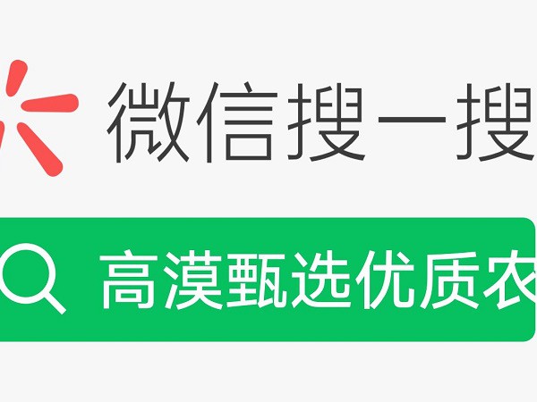 助力“高漠”品牌創(chuàng)新   推動(dòng)沙產(chǎn)業(yè)持續(xù)發(fā)展  ——“高漠甄選”電子商城正式運(yùn)營