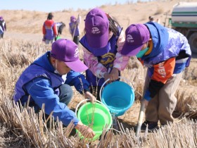 甘肅建投新能源公司沙漠研學旅行基地舉辦“我與小樹共成長，爭做護綠小使者”主題研學活動